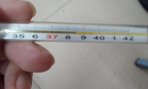 蜂蜇伤用药治疗指南最新-蜂蜇伤用药网 - 网站提供蜂蜇伤用什么药小常识、蜂蜇伤用药治疗指南最新